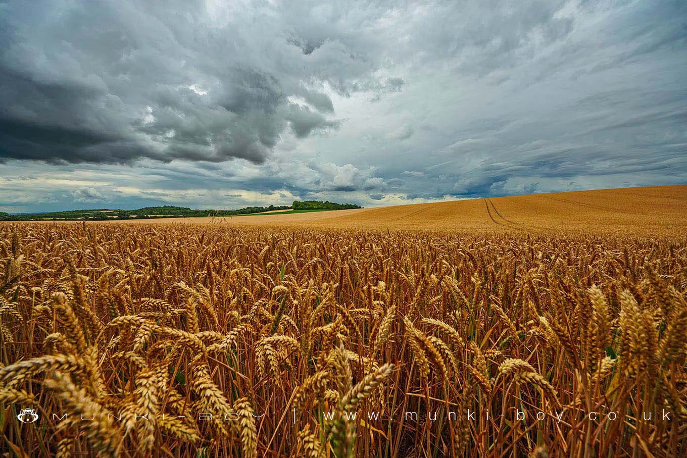 Cambridgeshire